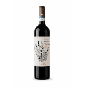 I MOSTACCI - Valpolicella Classico Superiore DOC � Ca� Matta